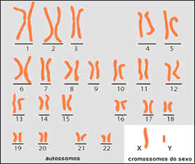 Bases Da Biologia Celular E Molecular De Robertis Em Pdf 14