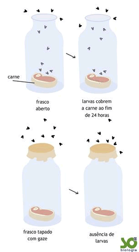 Quando os experimentos com a Matéria vermelha dão TERRIVELMENTE ERRADO! :  r/PuddingsUtopia