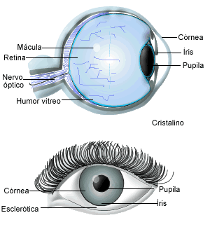 clínica oftalmológica rj