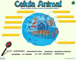 Celula Animal