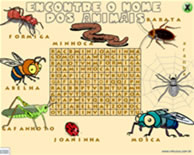 Encontre o nome dos insetos
